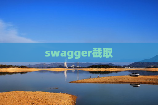 swagger截取